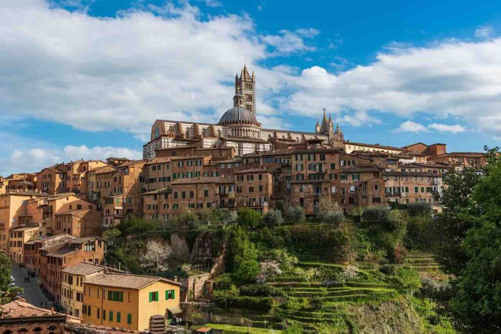 palio di siena regolamento